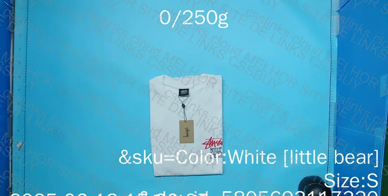 Stussy Shirt Bear 3