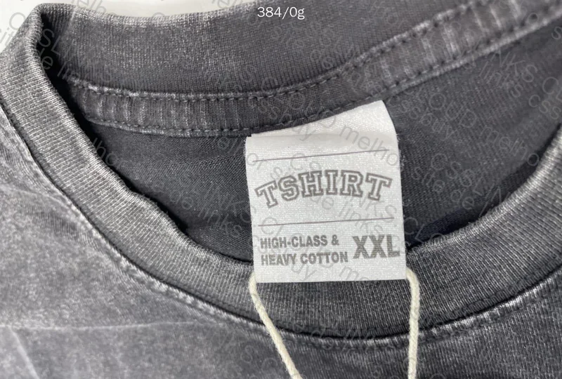 Taylor Swift Shirt (No Salt) 4
