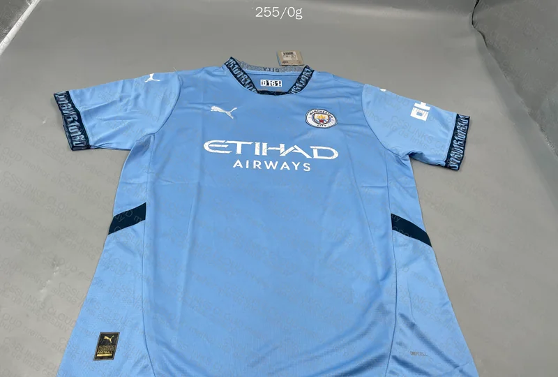 Man. City 24/25 Season Shirt (27¥)