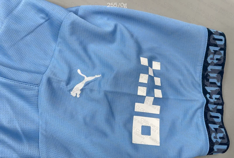 Man. City 24/25 Season Shirt (27¥) 6