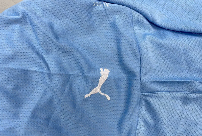 Man. City 24/25 Season Shirt (27¥) 9