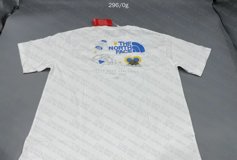 The North Face Shirt 2