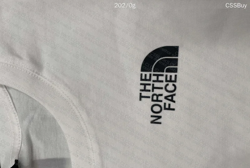 The North Face Shirt 2