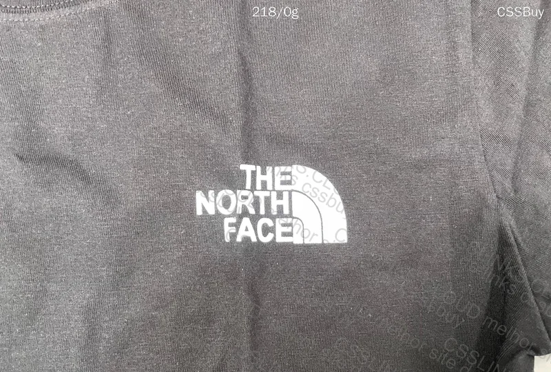 The North Face Shirt 3