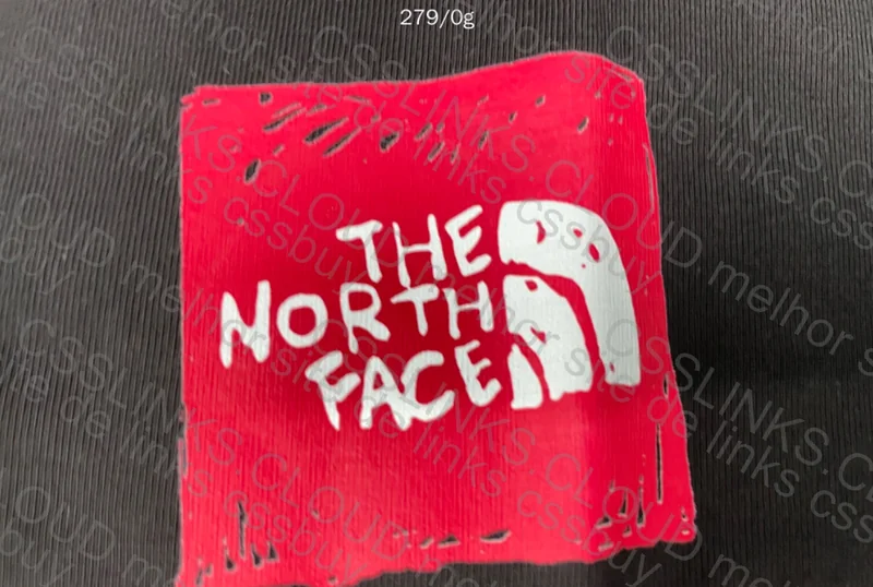 The North Face Shirt 2