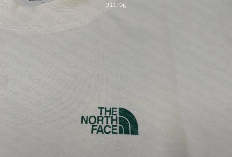 The North Face Shirt 2