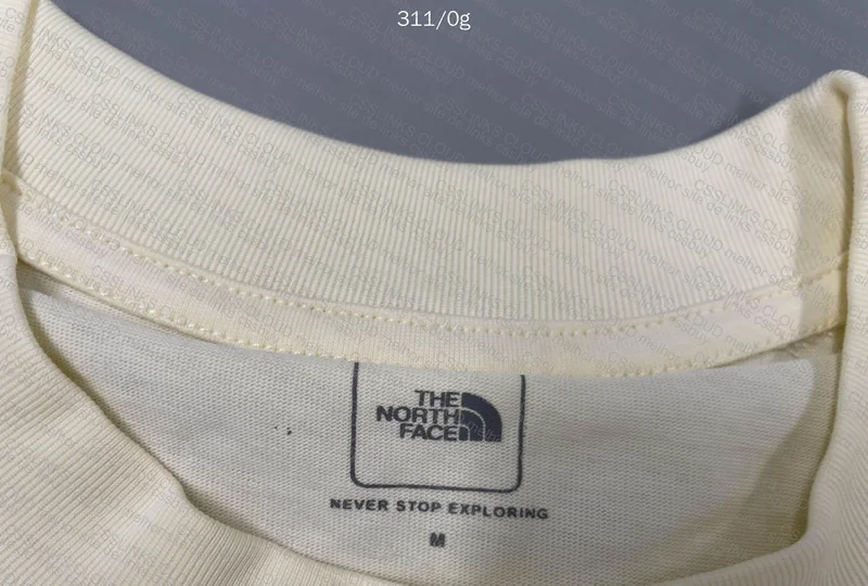 The North Face Shirt 3