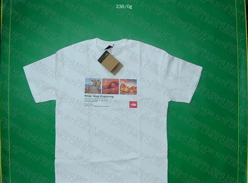 The North Face Shirt 2