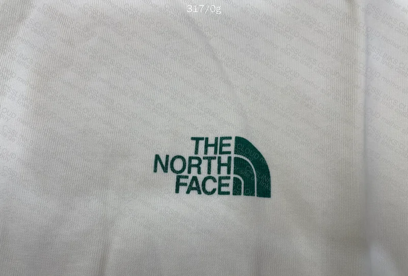 The North Face Shirt GL? 6
