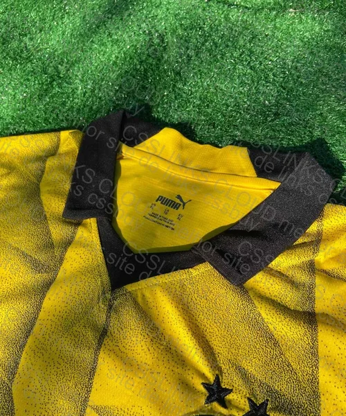 European Team Shirt 4