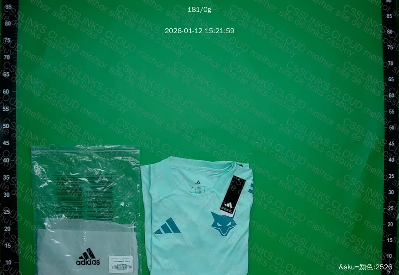 Camisa treino Cruzeiro 2