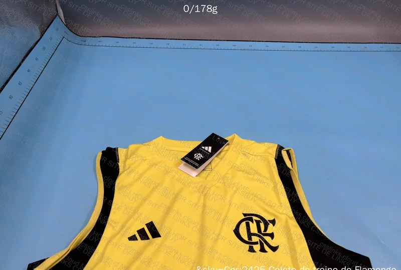 Flamengo 24/25 Training Shirt 4