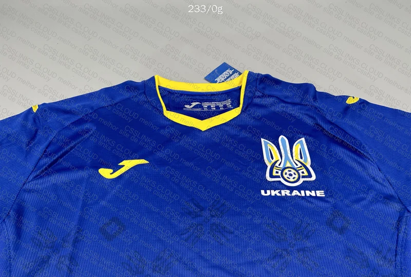 Ukraine 20/21 Shirt 2