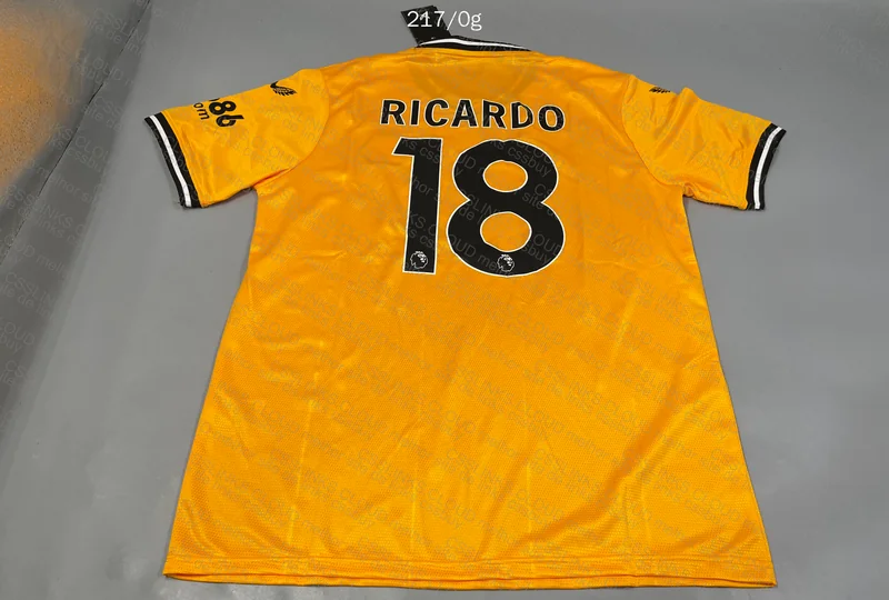 Wolverhampton 23/24 Shirt 3