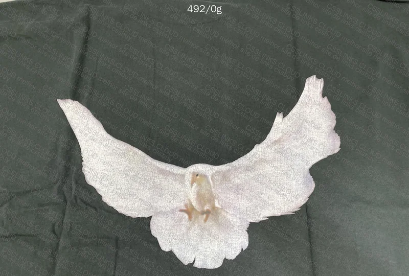 Yeezy x Gap Black Dove Shirt 3