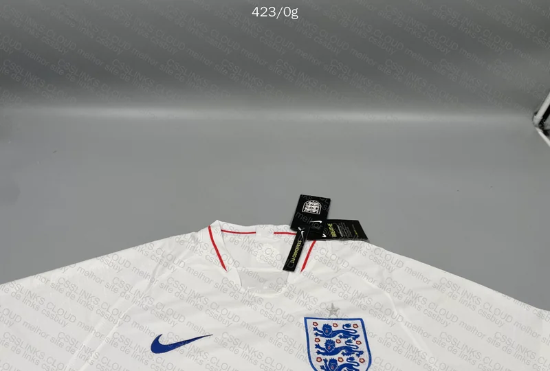 Random Shirts (Lazy Chinese) 6