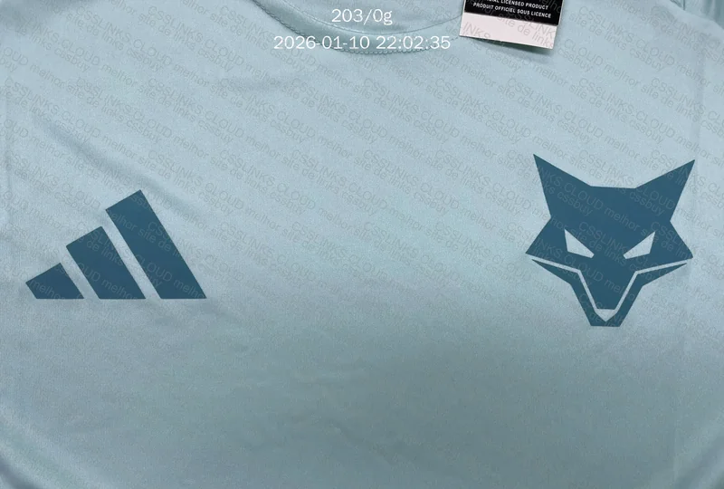 Camisas Cruzeiro e Espanha 10
