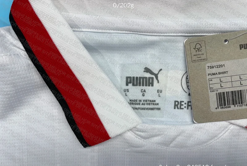 Team Jerseys: Bayern Munich and Milan 10