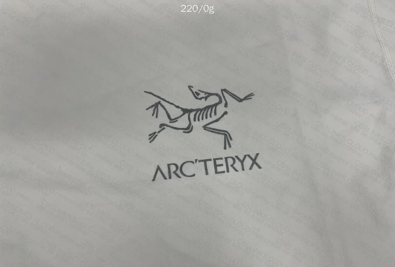 Arcteryx T-Shirt 2