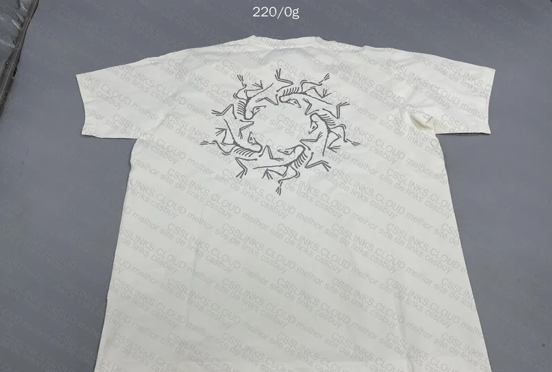 Arcteryx T-Shirt 4