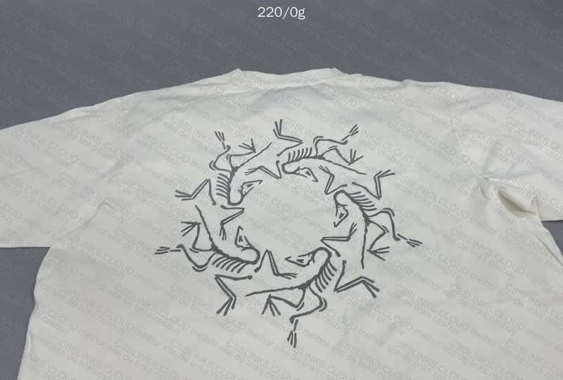 Arcteryx T-Shirt 5