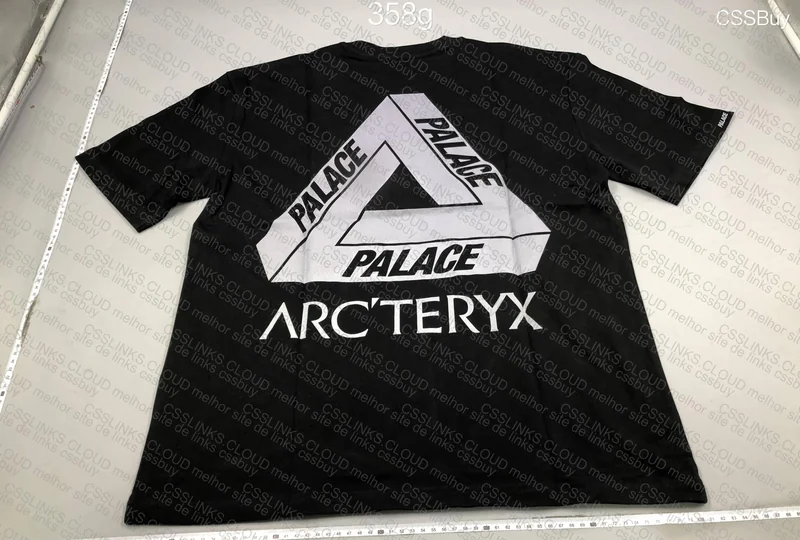 Arc'teryx x Palace T-Shirt 2