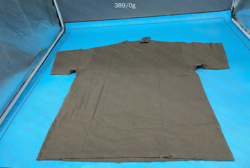 Balenciaga T-shirt 6