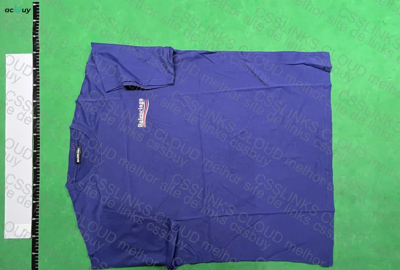 Balenciaga T-Shirt and Dunk Low