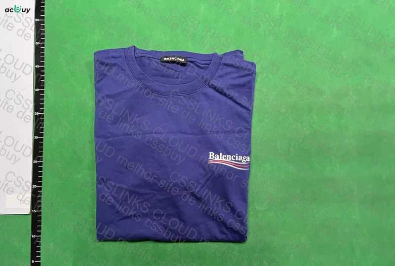 Balenciaga T-Shirt and Dunk Low 3
