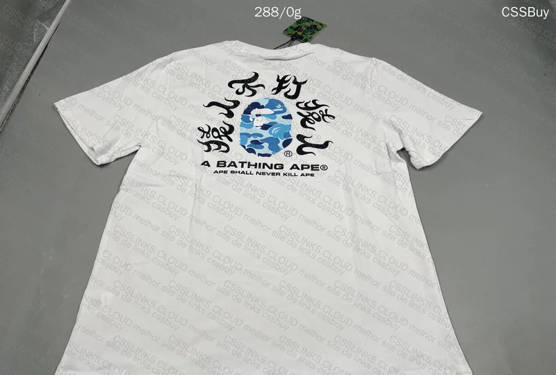 BAPE T-Shirt GL? (with Measurements)