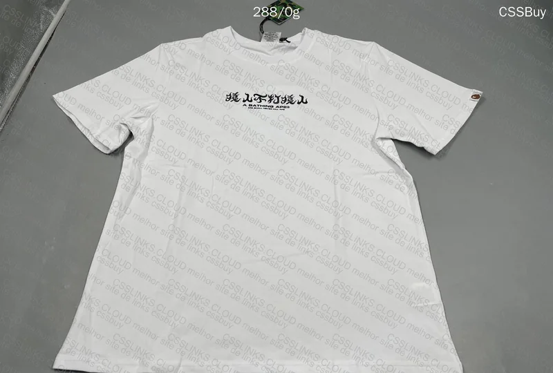 BAPE T-Shirt GL? (with Measurements) 8