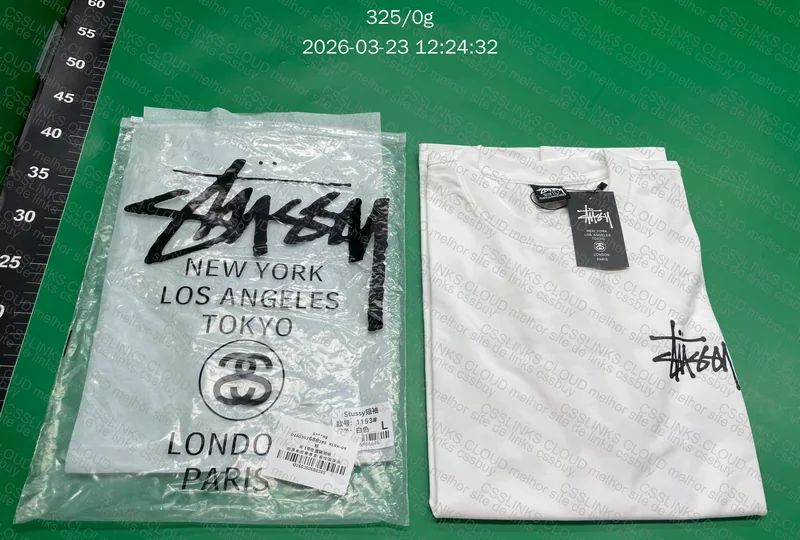 Camiseta Basic Stüssy (21 DIAS PARA WH 💀) 4