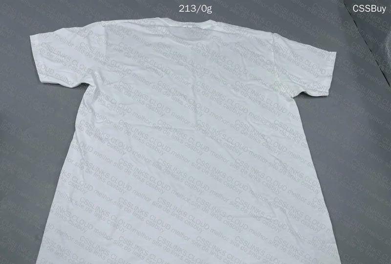 Basic Gildan T-Shirt 2