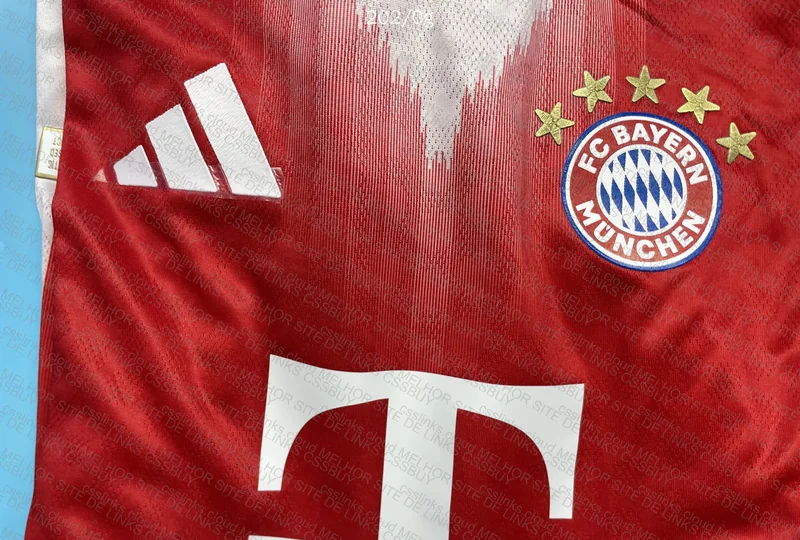 Bayern 25/26 T-Shirt 2