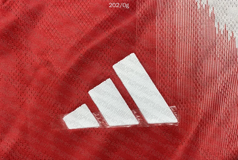 Bayern 25/26 T-Shirt 5