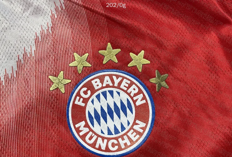 Bayern 25/26 T-Shirt 6