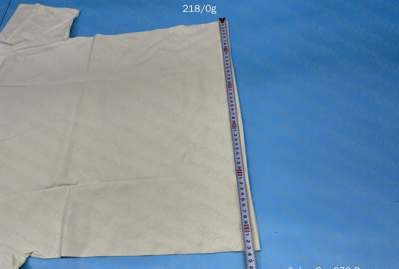 Beige Doberman Stussy T-Shirt + Measurements 5