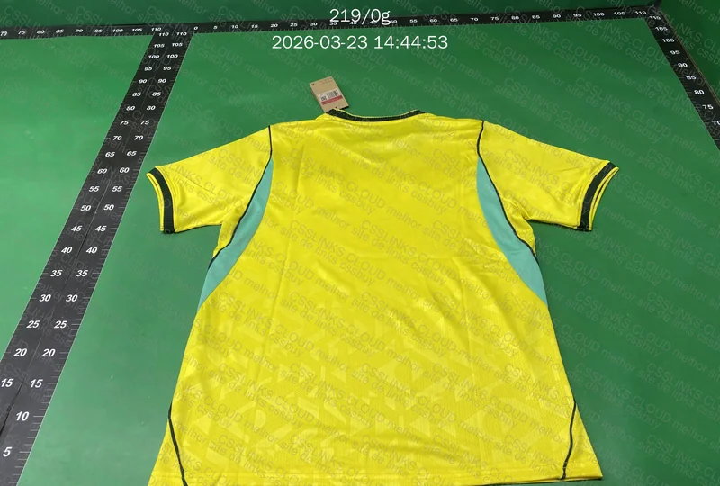 CAMISETA BRASIL TORCEDOR 2