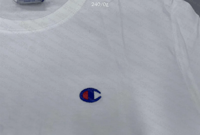 Champion T-Shirt 2