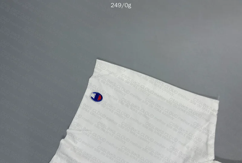 Champion T-Shirt 2