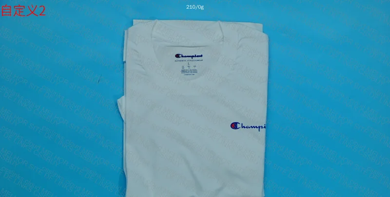 Champion T-Shirt - Blind Box
