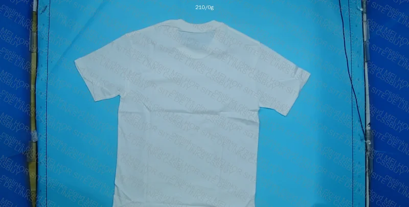 Champion T-Shirt - Blind Box 2