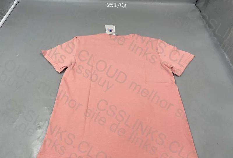 Champion T-Shirt (GL??)
