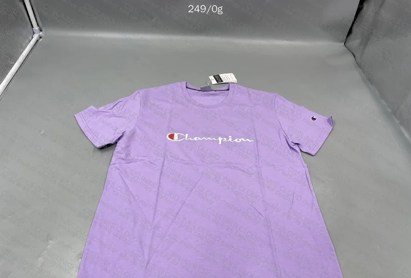 Champion T-Shirt (GL?)