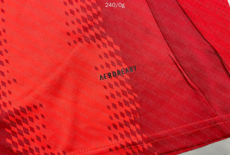 Bayern Team Jersey 6