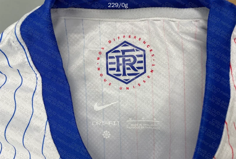 France 24/25 Team Jersey 3
