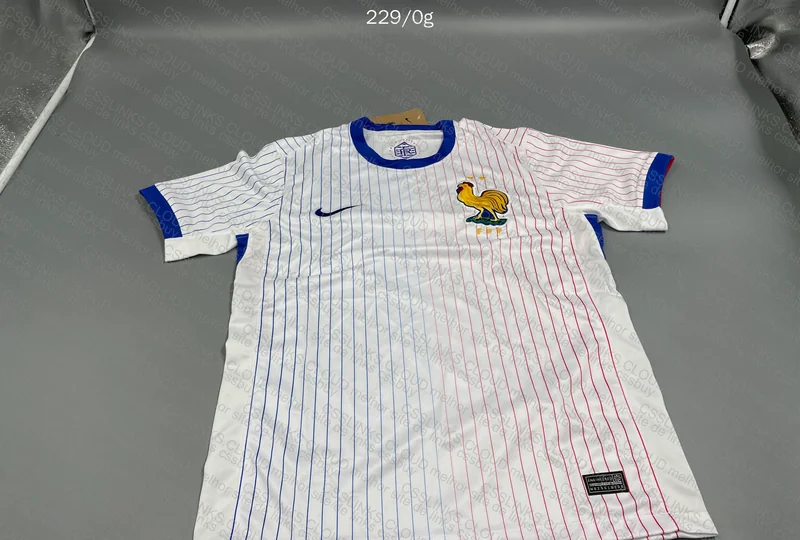 France 24/25 Team Jersey 4