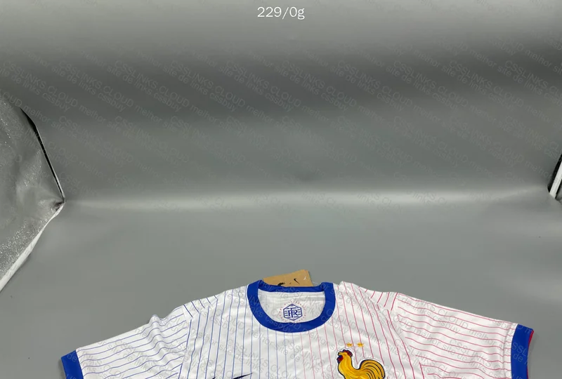 France 24/25 Team Jersey 5