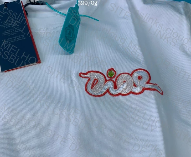 Dior T-Shirt 2