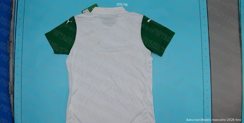 Palmeiras T-Shirt 2